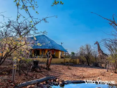 two giraffes are standing in front of a building at Kruger Wildlife Villas in Phalaborwa