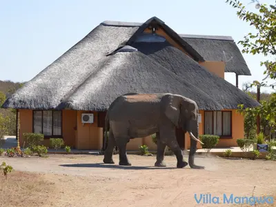an elephant walking in front of a building at Kruger Wildlife Villas in Phalaborwa