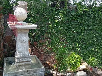a stone bird bath sitting in front of a bush at An Exclusive Guesthouse too in Nelspruit