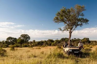 a group of people in a jeep in a field at Tintswalo Safari in Manyeleti Game Reserve