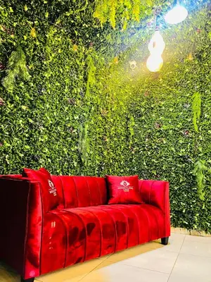 a red couch in front of a green wall at Boeketlong Lodge in Jane Furse