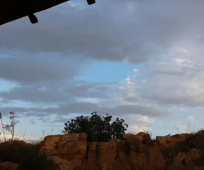 a tree sitting on top of a rocky mountain at Luxury Treehouse on Bronberg Ridge in Tierpoort