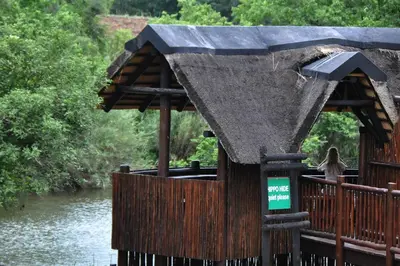 a woman standing on a wooden deck next to a river at Kruger Park Lodge - Private Villa 514 in Hazyview