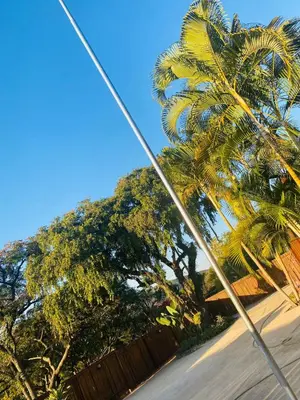 a group of palm trees and a fence at GEORGE B BOUTIQUE LODGE in Tzaneen