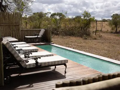 a deck with lounge chairs and a swimming pool at KwaMbili Game Lodge in Thornybush Game Reserve