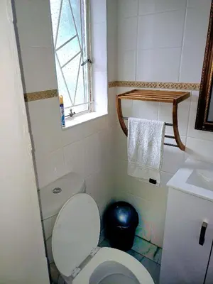 a small bathroom with a toilet and a window at @336 Bourke in Pretoria