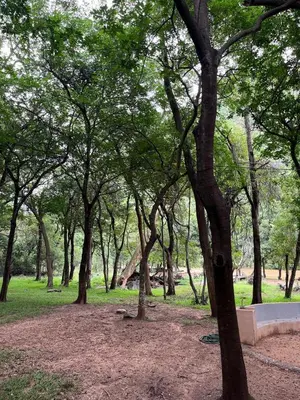 a park with a bunch of trees and a bench at Blyde River Self-Catering Studios in Hoedspruit