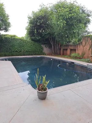 a small pool with a potted plant next to it at Die Eend in Centurion