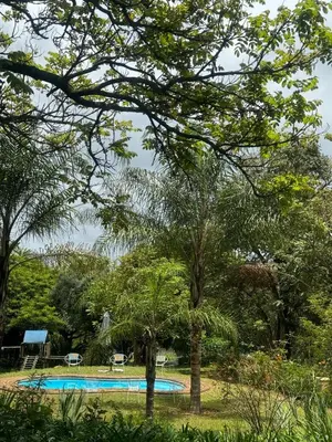 a swimming pool in a park with trees at Busa House in White River