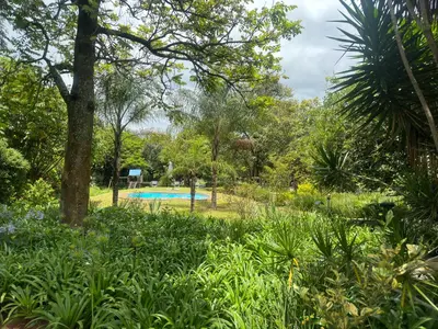 a swimming pool in a garden with trees and plants at Busa House in White River