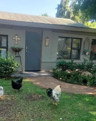 a group of chickens standing outside of a house at Blossom Retreat at Ilnika Farm Stay in Naboomspruit
