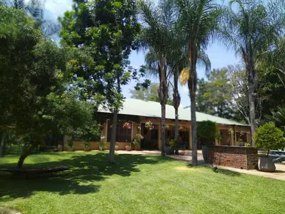 a house with palm trees in front of a yard at Blossom Retreat at Ilnika Farm Stay in Naboomspruit