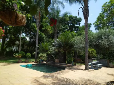 a swimming pool in a yard with palm trees at Blossom Retreat at Ilnika Farm Stay in Naboomspruit