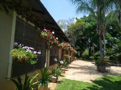 a building with potted plants on the side of it at Ilnika Farm Stay in Naboomspruit