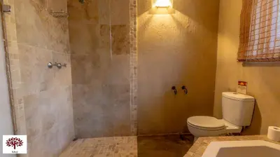a bathroom with a shower with a toilet and a sink at Zebula Golf and Wildlife Estate - Porcupine Strolling Pax 8 - Moi Signature Luxury villa in Mabula