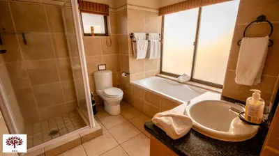 a bathroom with a sink and a shower and a toilet at Zebula Golf and Wildlife Estate - Open Plains Pax 10 - Moi Signature Luxury villa in Mabula