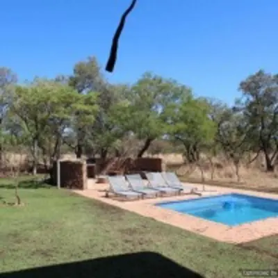 a swimming pool with two lounge chairs next to a yard at Zebula Golf and Wildlife Estate - Squirrel Pandemonium Pax 12 - Moi Signature Luxury villa in Mabula