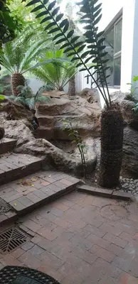a garden with palm trees and a stone wall at The Concept in Centurion