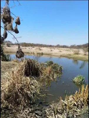 a river in the middle of a field at Marocco Lodge in Baltimore