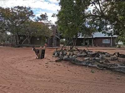 a pile of logs sitting on a dirt road at Marocco Lodge in Baltimore