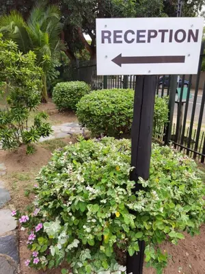 a white sign in a bed of flowers at Sheba Rock Guesthouse in Nelspruit