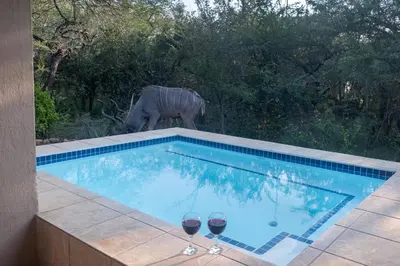 Gallery image of Kruger Cottage in Marloth Park