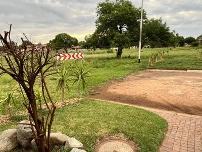 a small tree in a park with a path at Kiewiets Creek Guesthouse in Pretoria