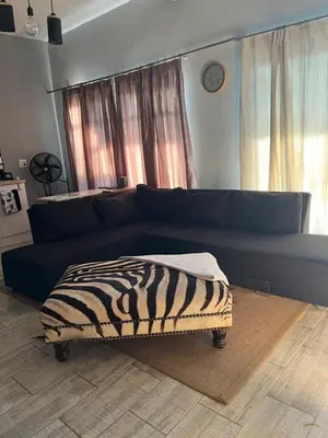 a blue couch in a living room with a zebra blanket at Kiewiets Creek Guesthouse in Pretoria