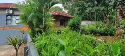 a garden in front of a house with plants at Marandela Guesthouse in Louis Trichardt