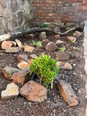 a garden with rocks and a plant in the dirt at Wildevy at Benlize in Hartbeespoort