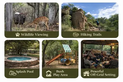 a collage of pictures of a park with animals at 5 Sleeper Bushcamp Chalet Hartbeespoort in Hartbeespoort
