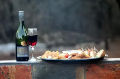 a plate of food and a glass of wine at Kruger Nest in Marloth Park