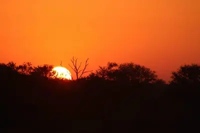 an orange sky with the sun behind some trees at Kruger Nest in Marloth Park