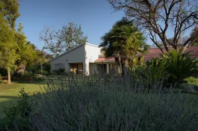 a white house with a palm tree in a yard at Plumtree Lodge in Polokwane