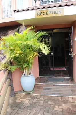 a plant in a pot in front of a building at El Gran Chaparral Guest House in Pretoria
