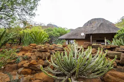 a garden of rocks and a building with a cactus at Amafu Forest Lodge in Hoedspruit