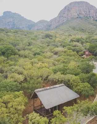 an overhead view of a house in the middle of a forest at Amafu Forest Lodge in Hoedspruit