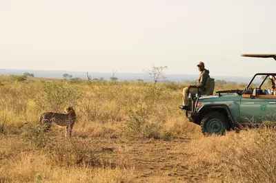a man in a jeep and a giraffe in a field at Lukimbi Safari Lodge in Malelane