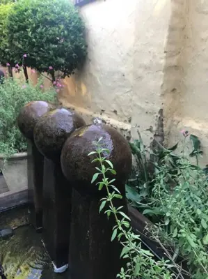 a group of potted plants in a garden at Kyasaja Home away from home in Pretoria