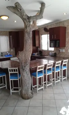 a tree in the middle of a kitchen with bar stools at Blyde River Cabins in Hoedspruit