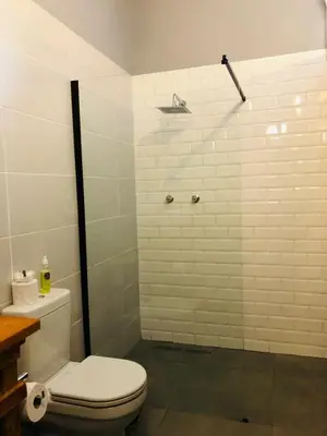 a bathroom with a toilet and a shower at Bo Kamer Guesthouse in Ermelo