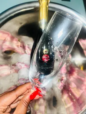 a person holding a wine glass in front of a sink at Monochrome View in Nelspruit