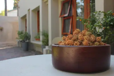 a brown planter sitting on top of a table at Richtershuyz Luxury Accommodation in Pretoria