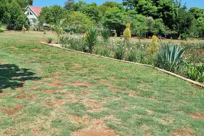 a garden with grass and plants in a yard at The Acres Home in White River