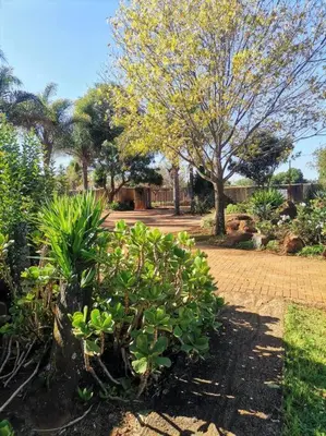 a garden with trees and plants on a sidewalk at Bobisemo Luxury Pretoria East Apartment in Tierpoort