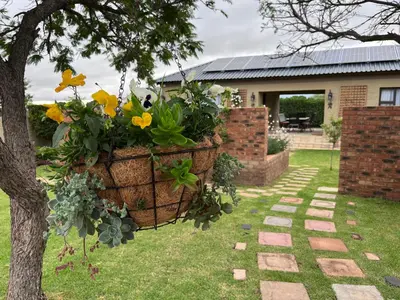 a flower basket hanging from a tree in a yard at Private room Skyfall Country Estate in Polokwane