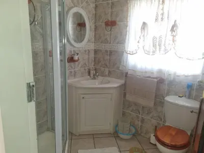 a bathroom with a sink and a toilet at Bosveld Kuier Hoofhuis in Bela-Bela