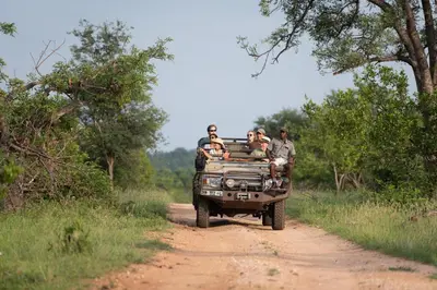 a group of people in the back of a truck on a dirt road at Sausage Tree Safari Camp in Balule Game Reserve