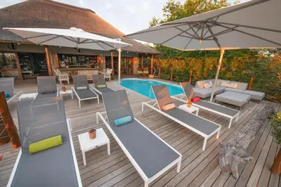 a deck with chairs and umbrellas next to a pool at Sausage Tree Safari Camp in Balule Game Reserve