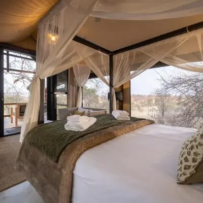 Sausage Tree Safari Camp